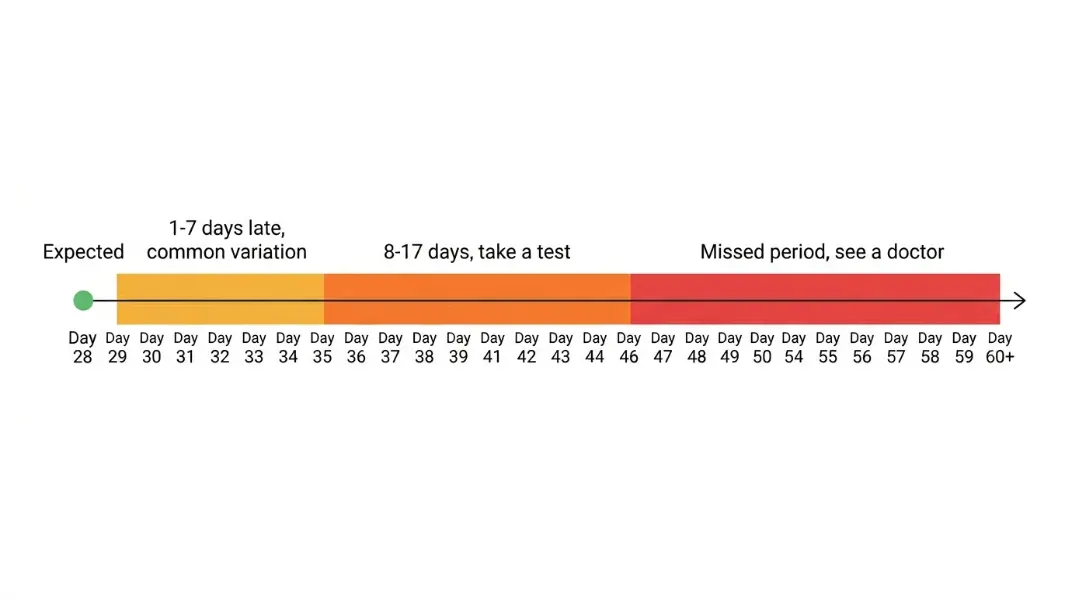 Late vs missed period timeline showing day ranges from expected date to consult doctor